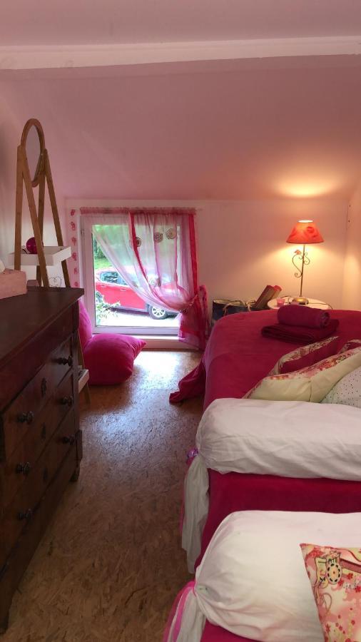 Le Loft Au-Dessus Des Pins Lejlighed Lacanau Eksteriør billede