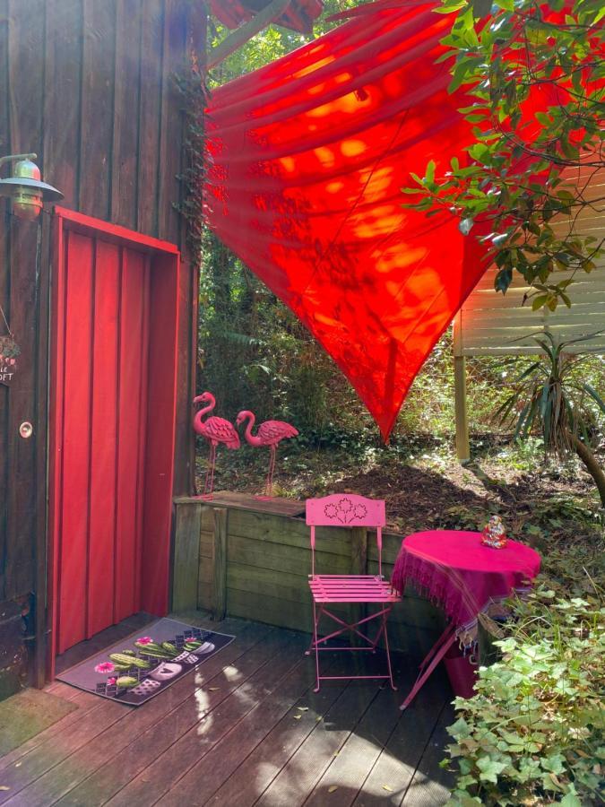 Le Loft Au-Dessus Des Pins Lejlighed Lacanau Eksteriør billede