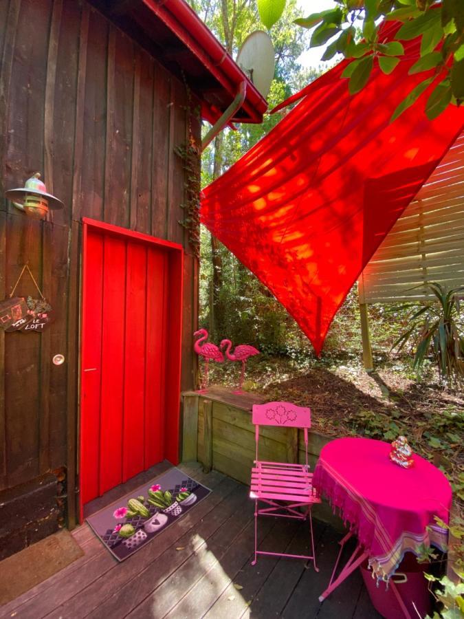 Le Loft Au-Dessus Des Pins Lejlighed Lacanau Eksteriør billede