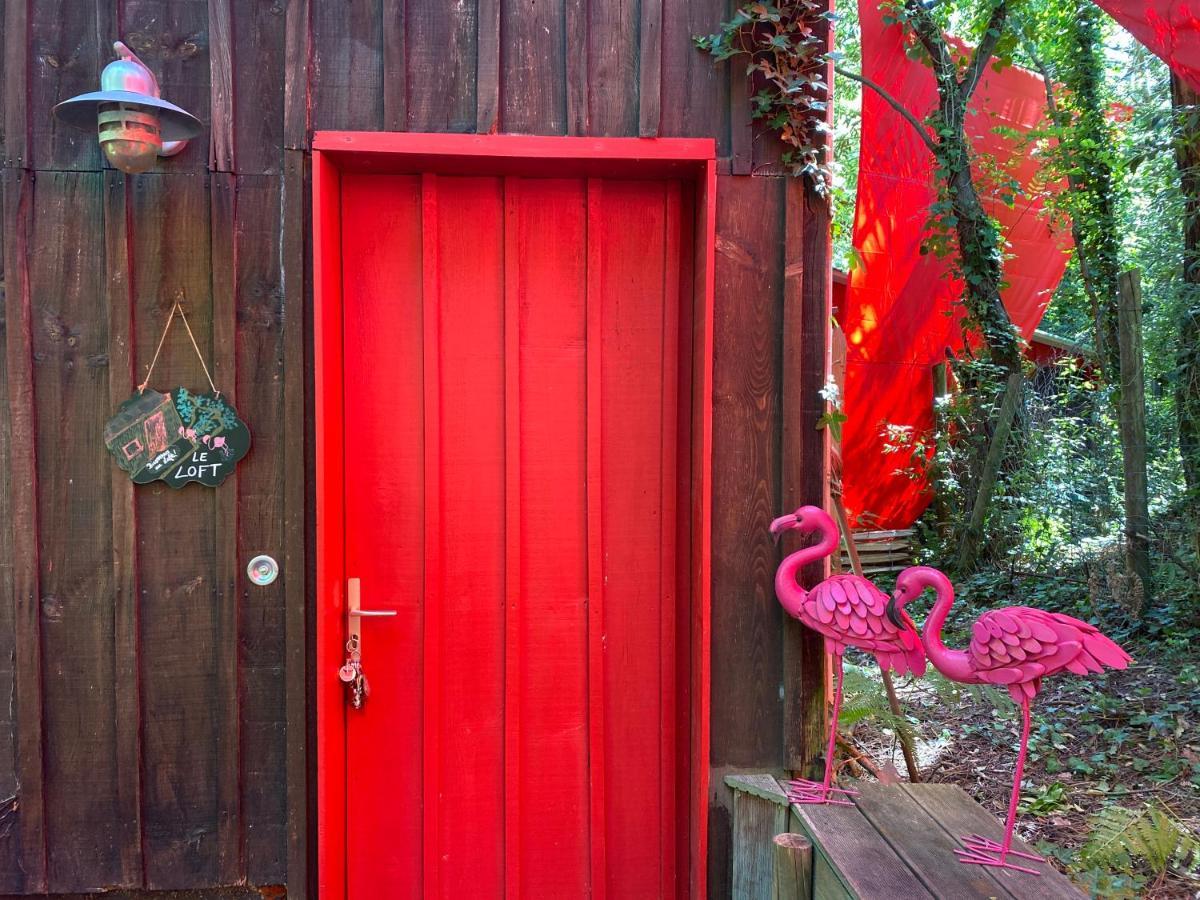 Le Loft Au-Dessus Des Pins Lejlighed Lacanau Eksteriør billede