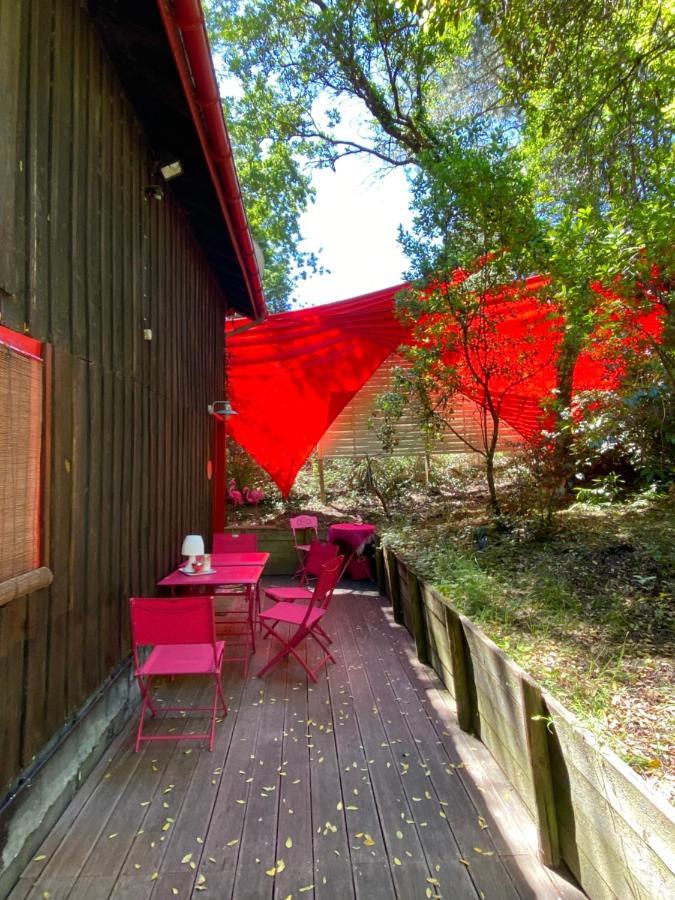 Le Loft Au-Dessus Des Pins Lejlighed Lacanau Eksteriør billede